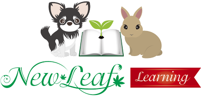 New Leaf Learning 幼児・子供向けCD付英語絵本教材